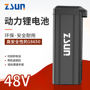 尊尚48v海霸款代驾电动自行车锂电池10a16a20a26a30a