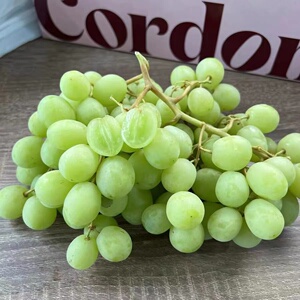 881人付款淘宝红提标签水果贴纸果标商标定制作不干胶澳洲云南四川