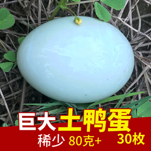 洪湖农家放养鸭蛋新鲜现捡散养绿壳生鸭蛋超大个80克30个整箱