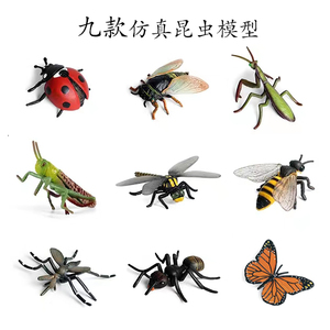 幼儿 儿童仿真昆虫模型动物玩具蜜蜂蝴蝶蝗虫螳螂七星瓢虫礼物