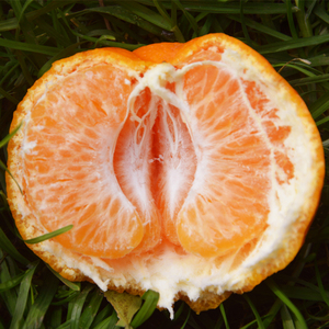 正宗四川耙耙柑粑粑柑趴趴柑特级大果非丑橘不知火新鲜现摘孕妇5