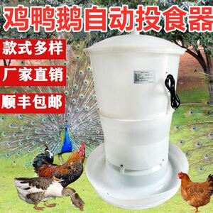 器鸡户外养鸡鸽子全自动喂食器神器投食机不锈钢定时食槽铺缘彩特