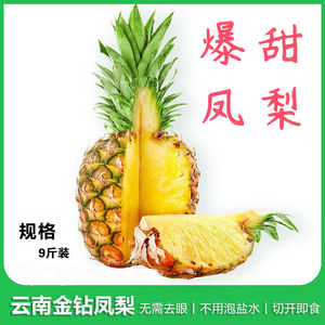 云南凤梨新鲜水果10斤装包邮版纳特产热带无眼菠萝多汁金钻凤梨