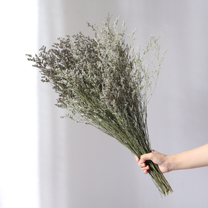 情人草家居装饰 原生态天然 干花干果鲜花仿真花情人草