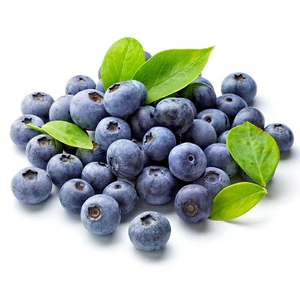 2023新鲜蓝莓高山种植原生态蓝莓脆甜好吃限时采摘
