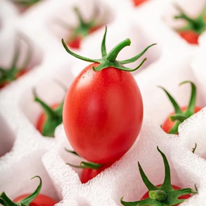 00一颗番茄ya淘宝一颗番茄ya秋冬新款手提包小花吊坠棋盘格包包小众