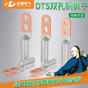 DTLS双孔型铜铝鼻子钎焊 铝接头 国标 DL接线端子铝线耳系列