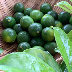 越南青柠檬 新鲜发出撒撇加酸凉拌傣味一个装