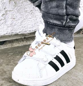 美英韩购回 现货 adidas阿迪达斯三叶草贝壳头魔术贴运动鞋童鞋图片