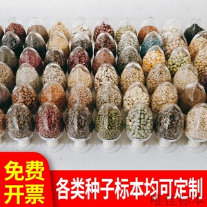 博物馆用中草药种子标本农作物花卉树木果蔬杂草展示定制教学展览