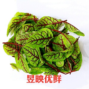 新鲜酸模叶红酸模草酢浆草可食用装饰芽苗一盒装江浙沪五件包邮图片