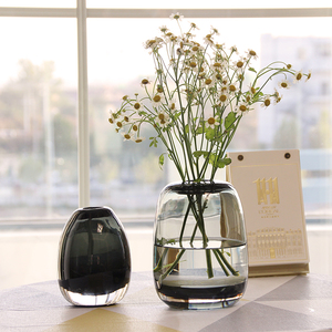 北欧玻璃花瓶透明 小号 日式简约创意家居餐桌装饰鲜花插花瓶摆件