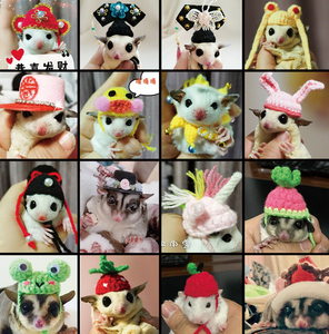 黑黑酱 蜜袋鼯用品帽子 仓鼠手工编织 可爱动物造型变装帽卡通帽