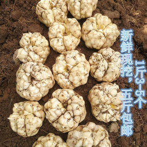 恩施硒都新鲜百合果农家精选现挖特级卷丹百合种食用药用无硫精品