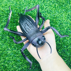 仿真动物模型大号蜘蛛昆虫超大号蝎子独角仙海洋生物玩具
