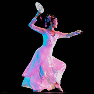 直销北舞坊舞台演出服古典舞服饰舞蹈服装彩蝶飞舞民族服装订做