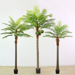 仿真椰子树盆栽客厅绿植装饰拍摄道具仿真葵树摆件大型落地仿真树