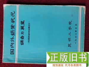 国内外锡业状况调查与展望 昆明工学院