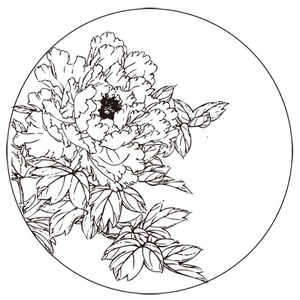 牡丹白描底稿工笔画线描底图国画黑白画稿作业画花鸟底稿电子版