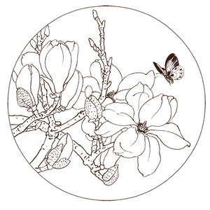 玉兰白描底稿工笔画线描底图国画黑白画稿作业画花鸟底稿电子版