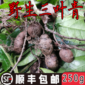 三叶青新鲜