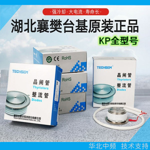 TECHSEM正品湖北襄阳台基可控硅KP800A2500A软启动晶闸管Y38Y40