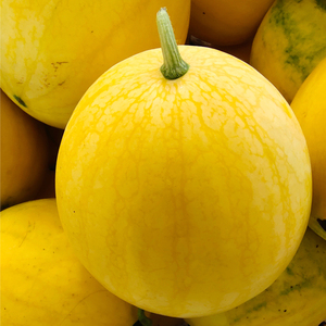 黄金西瓜10斤 黄皮黄心西瓜黄瓤当季新鲜水果晶莹清甜 顺丰包邮