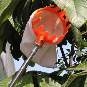 多功能摘果山枣无花三爪核桃的石榴枣高枝神器摘家用神器摘果器