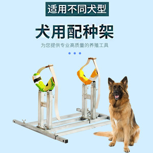 配种架狗