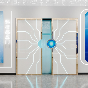 抖音网红指纹人脸声控透明科技门博物馆隔音门地下室遥控谷仓门