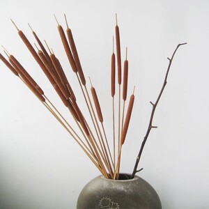 天然蒲棒 仿真花 假花 水蜡烛水烛 菖蒲 干花装饰 客厅玄关 插花