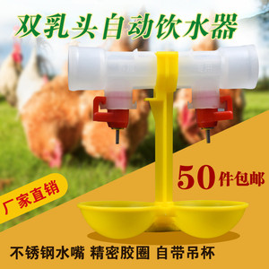 双乳头鸡自动饮水器鸡用钢球饮水器鸡饮水嘴带吊杯鸡水线养鸡设备