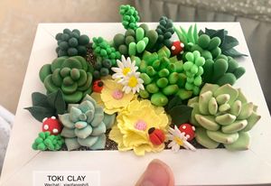 kawai手作手工diy超轻粘土成品作品太空泥多肉植物可定制黏土彩泥