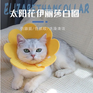 伊丽莎白猫圈狗狗猫咪项圈脖套防舔咬圈卡通宠物猫防抓头套耻辱圈