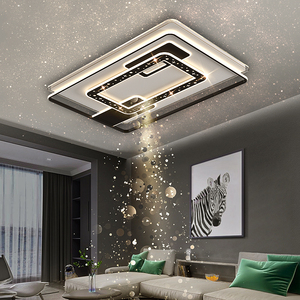 家装,建材 灯具灯饰 筒灯 客厅天花板灯