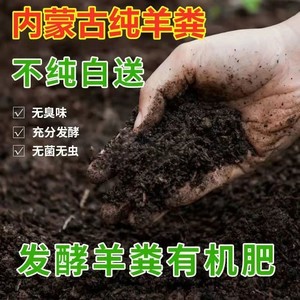 内蒙古发酵纯羊粪生物肥100斤农家有机复合肥干羊粪羊屎盆栽通用