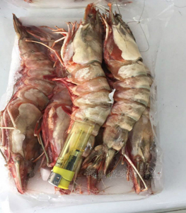海捕虾活冻大对虾深海冻虾刺身礼品大虾2斤5-6条顺丰包邮