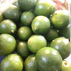 一元硬币大币-淘宝拼多多热销一元硬币大币货源拿货 - 阿里巴巴货源