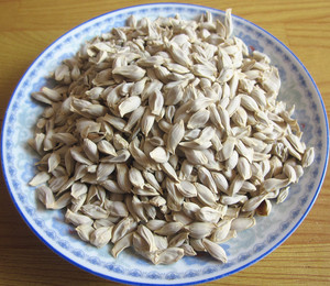 中药材店铺 柚子核 柚子籽 柚核 柚子核 柚子子 50克