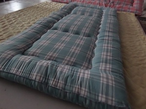 单人床垫打地铺学生宿舍褥子硬质棉垫办公室午休垫可折叠0.9x2.0