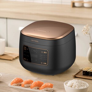 陶瓷内胆电饭锅家用2l柴火饭煲粥正品全自动3人4天际电器直销总店