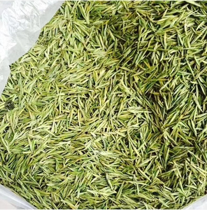 桐柏玉叶黑明寺野树茶125克