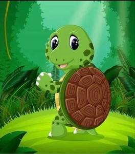 八戒弟弟越南石金钱乌龟鳄龟纯佛原种佛爆刺佛鳄杂佛北美宠物