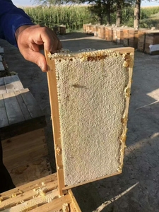 农家蜂场整张原框蜂巢蜜5斤多蜂巢蜜整板蜂窝蜜嚼着吃带框封盖巢