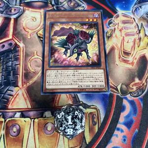 游戏王 日文 r 银字 赤蔷薇龙 dp21-jp025