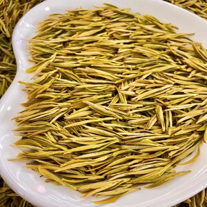 安吉茶树品种黄金芽茶叶明前头采高山茶特级2023年新茶礼盒罐装绿