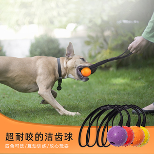 带绳弹力球狗狗训练耐咬橡胶球小型中型大型犬马犬边牧磨牙玩具球
