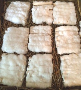 广水霉豆腐