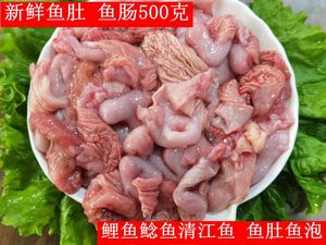 【新鲜鱼肚鱼肠500g三斤包邮】新鲜鲶鱼鲤鱼鱼肠鱼肚鱼杂鱼胶