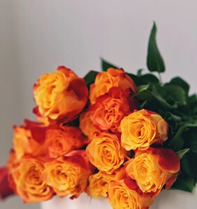 金辉玫瑰 橙色玫瑰 双色玫瑰花束家庭插花办公室用花鲜花速递送礼